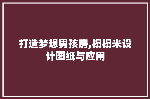 打造梦想男孩房,榻榻米设计图纸与应用
