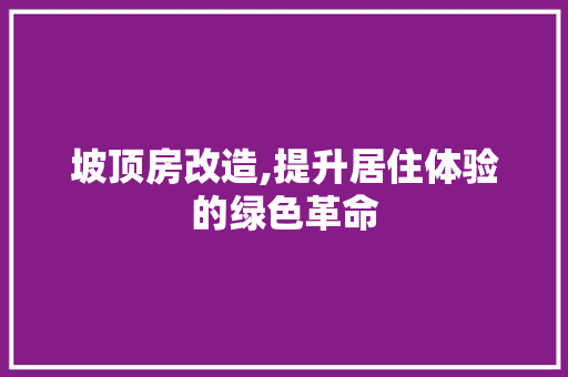 坡顶房改造,提升居住体验的绿色革命
