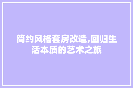 简约风格套房改造,回归生活本质的艺术之旅
