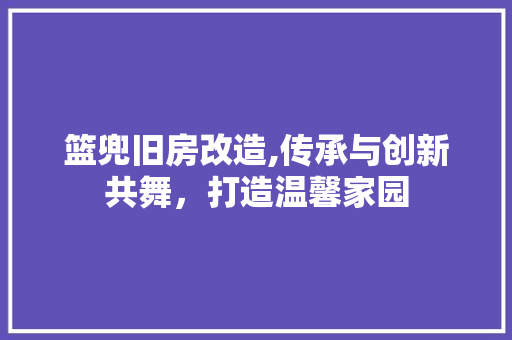 篮兜旧房改造,传承与创新共舞，打造温馨家园