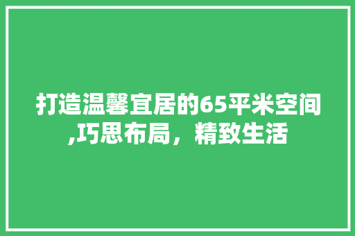 打造温馨宜居的65平米空间,巧思布局，精致生活