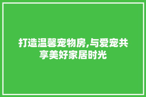 打造温馨宠物房,与爱宠共享美好家居时光