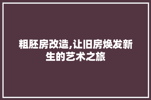 粗胚房改造,让旧房焕发新生的艺术之旅