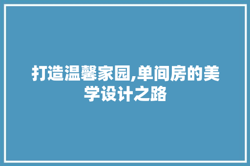 打造温馨家园,单间房的美学设计之路