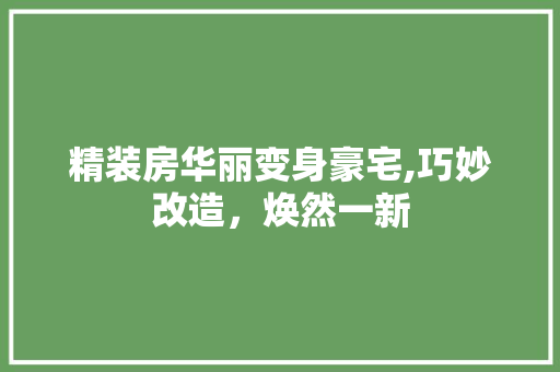精装房华丽变身豪宅,巧妙改造，焕然一新