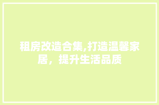 租房改造合集,打造温馨家居，提升生活品质