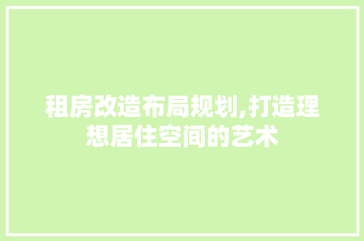 租房改造布局规划,打造理想居住空间的艺术