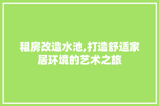 租房改造水池,打造舒适家居环境的艺术之旅