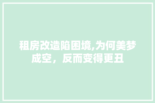 租房改造陷困境,为何美梦成空，反而变得更丑