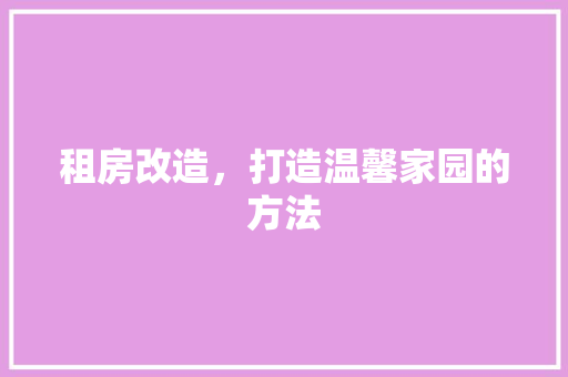 租房改造，打造温馨家园的方法