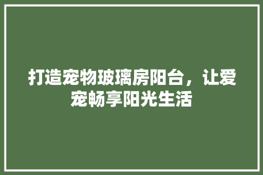 打造宠物玻璃房阳台，让爱宠畅享阳光生活
