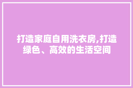 打造家庭自用洗衣房,打造绿色、高效的生活空间
