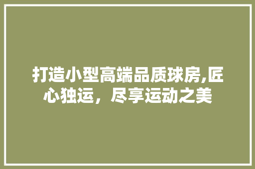 打造小型高端品质球房,匠心独运，尽享运动之美