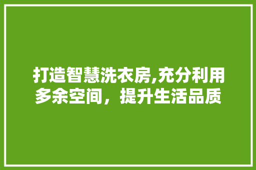 打造智慧洗衣房,充分利用多余空间，提升生活品质