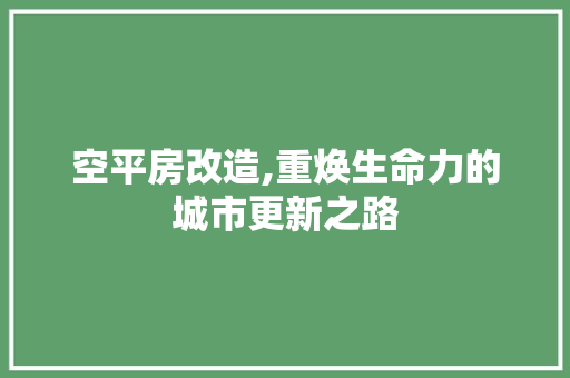 空平房改造,重焕生命力的城市更新之路