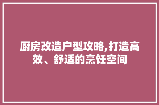 厨房改造户型攻略,打造高效、舒适的烹饪空间