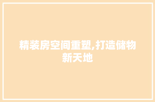 精装房空间重塑,打造储物新天地
