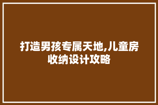 打造男孩专属天地,儿童房收纳设计攻略