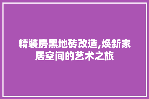 精装房黑地砖改造,焕新家居空间的艺术之旅