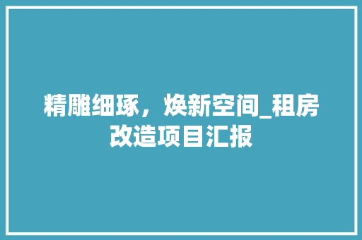 精雕细琢，焕新空间_租房改造项目汇报