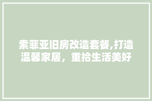 索菲亚旧房改造套餐,打造温馨家居，重拾生活美好