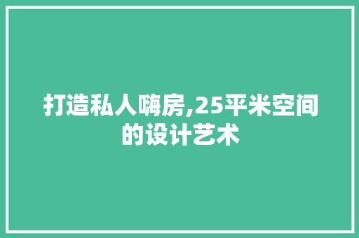 打造私人嗨房,25平米空间的设计艺术