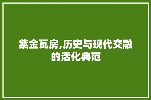 紫金瓦房,历史与现代交融的活化典范