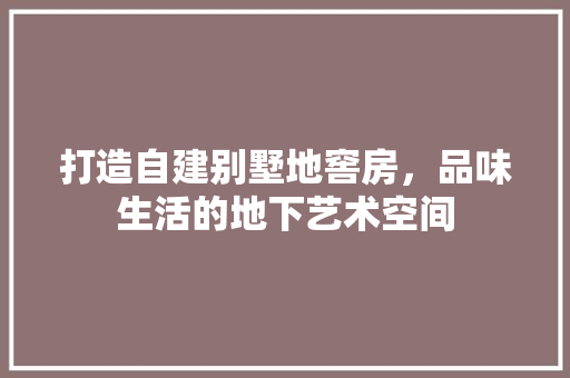 打造自建别墅地窖房，品味生活的地下艺术空间