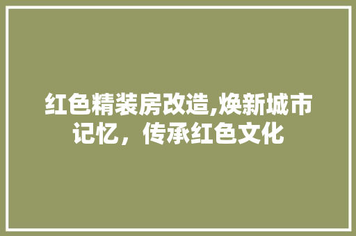 红色精装房改造,焕新城市记忆，传承红色文化
