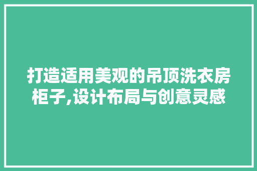 打造适用美观的吊顶洗衣房柜子,设计布局与创意灵感