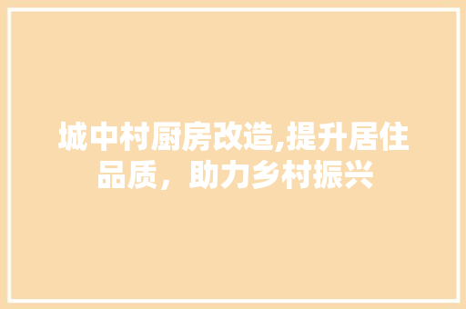 城中村厨房改造,提升居住品质，助力乡村振兴