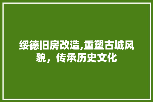 绥德旧房改造,重塑古城风貌，传承历史文化
