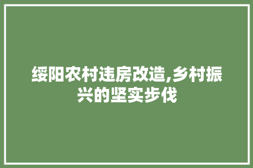 绥阳农村违房改造,乡村振兴的坚实步伐