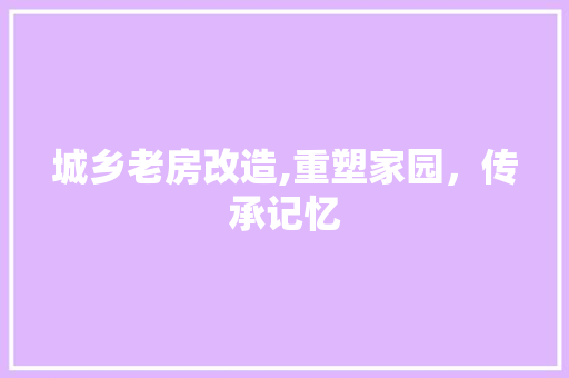 城乡老房改造,重塑家园，传承记忆