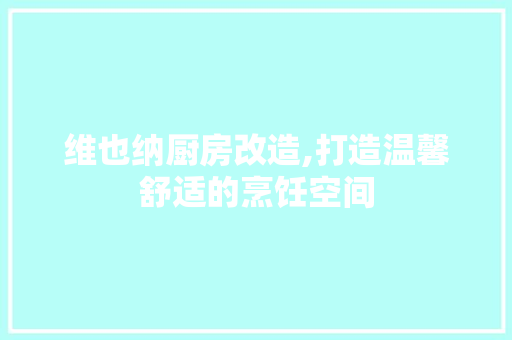维也纳厨房改造,打造温馨舒适的烹饪空间