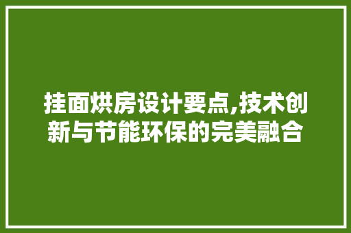 挂面烘房设计要点,技术创新与节能环保的完美融合