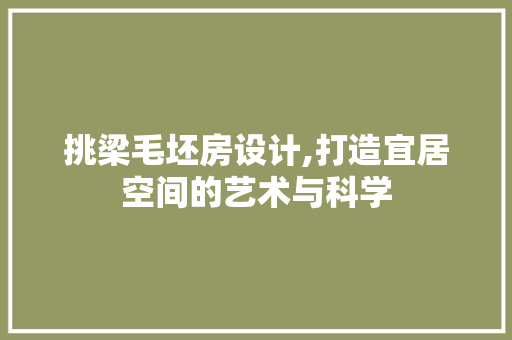 挑梁毛坯房设计,打造宜居空间的艺术与科学