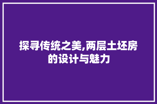 探寻传统之美,两层土坯房的设计与魅力