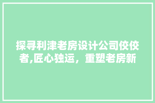 探寻利津老房设计公司佼佼者,匠心独运，重塑老房新颜