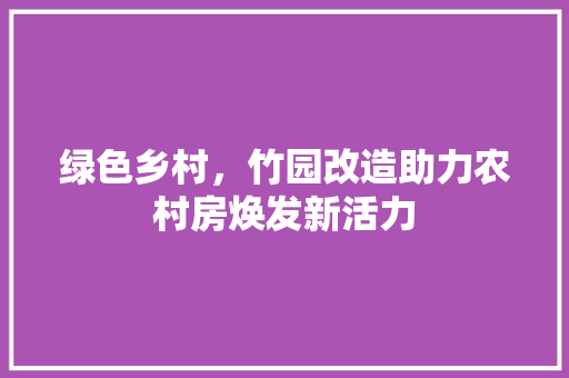 绿色乡村，竹园改造助力农村房焕发新活力
