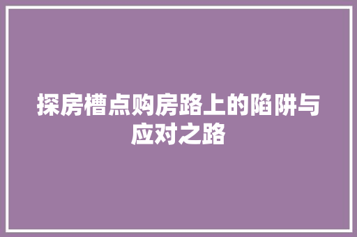 探房槽点购房路上的陷阱与应对之路