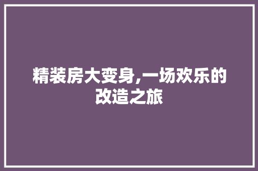 精装房大变身,一场欢乐的改造之旅