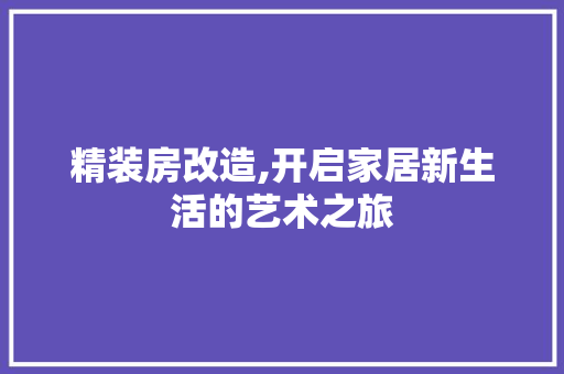 精装房改造,开启家居新生活的艺术之旅