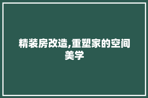 精装房改造,重塑家的空间美学