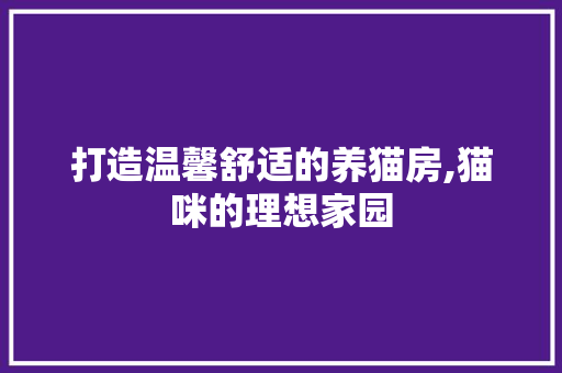 打造温馨舒适的养猫房,猫咪的理想家园