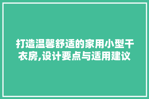 打造温馨舒适的家用小型干衣房,设计要点与适用建议