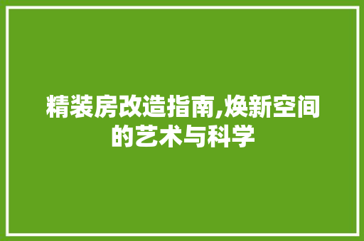 精装房改造指南,焕新空间的艺术与科学