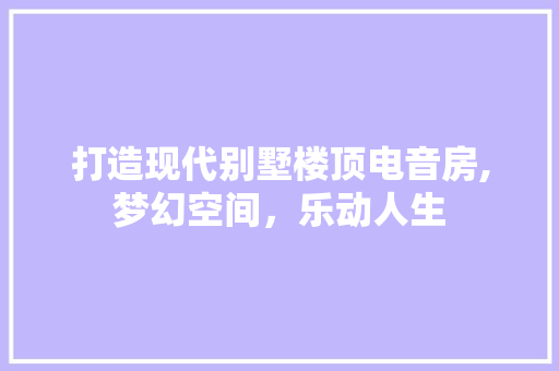 打造现代别墅楼顶电音房,梦幻空间，乐动人生