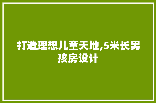 打造理想儿童天地,5米长男孩房设计