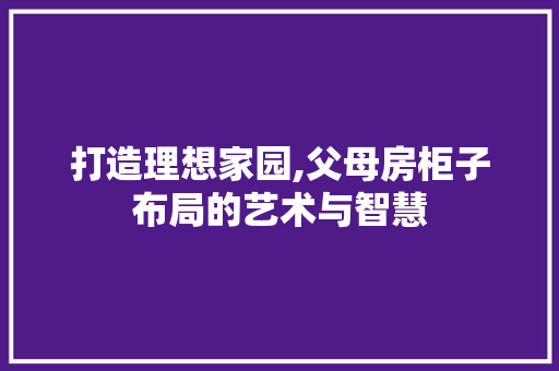 打造理想家园,父母房柜子布局的艺术与智慧